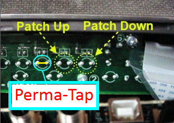 Zoom G5 Ashbass Perma-Tap Patch Select mod